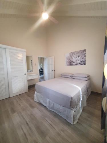 a bedroom with a white bed and a ceiling fan at Quiet Country Living in Saint George