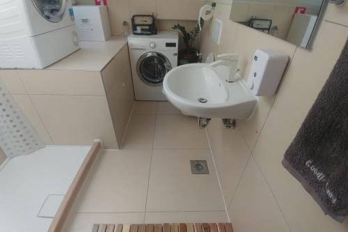 a bathroom with a sink and a washing machine at Goodlebang, 3 bed room apartment, Center Ljubljana in Ljubljana