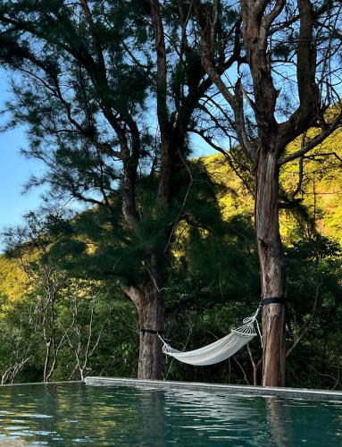 a hammock hanging between two trees next to a body of water at Zephyr Homestay in Yanliau