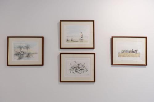 a group of framed pictures on a wall at Libbity's at The Point by Experience Jervis Bay in Sanctuary Point