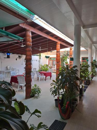 een patio met tafels en stoelen en potplanten bij Summer Sky Thoddoo in Thoddoo