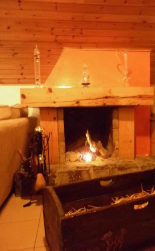 a fireplace in a living room with a fire place at Apartaments Noray in Barruera