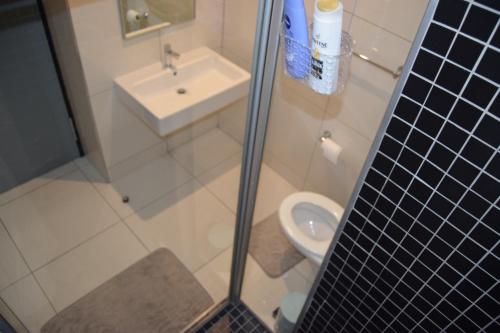 a bathroom with a shower and a toilet and a sink at Scenic Apartment in Windhoek City Centre in Windhoek