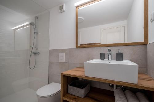 bagno con lavandino, servizi igienici e specchio di Hiša Leska a Kranjska Gora