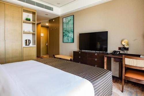 a hotel room with a bed and a desk and a television at LDS Hotel Belgrade in Belgrade