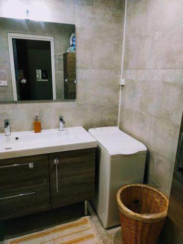 une salle de bain avec un lavabo, des toilettes et un miroir dans l'établissement Le Passe-Port pour Marseille, à Marseille