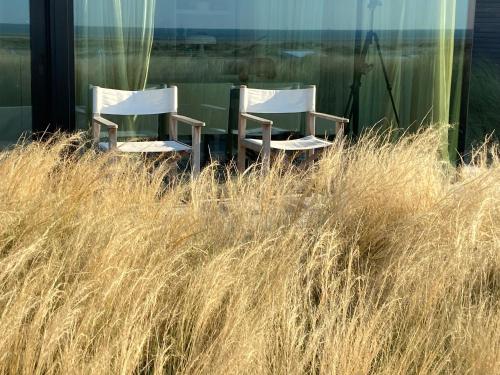 two chairs sitting in a field of tall grass at La Naturale Garden zeezicht in Zeebrugge