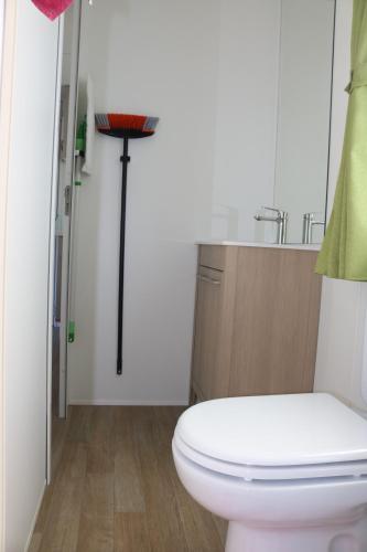 a bathroom with a white toilet and a sink at Altogold Swiss Holidays At Manor Farm 5* in Interlaken