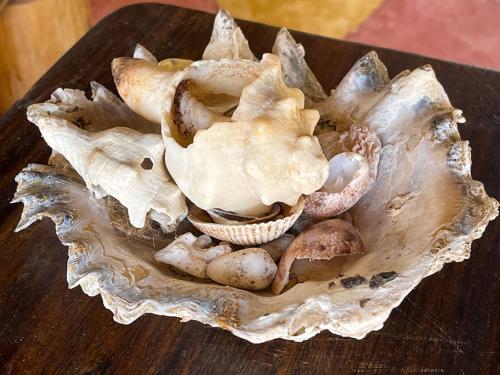 a group of mushrooms sitting on a wooden table at Kibanda Lodge and Beach Club in Nungwi