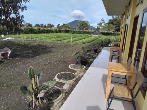 a patio with a table and chairs and a view of a field at Berastagi Mountain View Homestay & Pizzeria in Berastagi