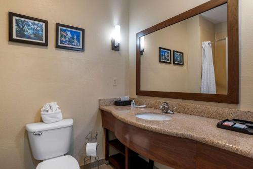 モービルにあるComfort Suites Mobile West Tillmans Cornerのバスルーム(トイレ、鏡付き洗面台付)