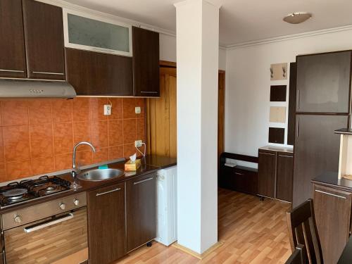 una cucina con lavandino e piano cottura forno superiore di Sara House a Târgu-Mureş