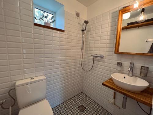 a bathroom with a toilet and a sink at Pāvilostas Šīfermāja in Pāvilosta