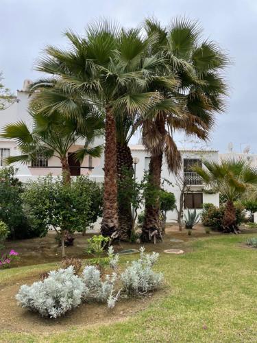 FeWo Cesar Manrique - Albufeira, Portugal