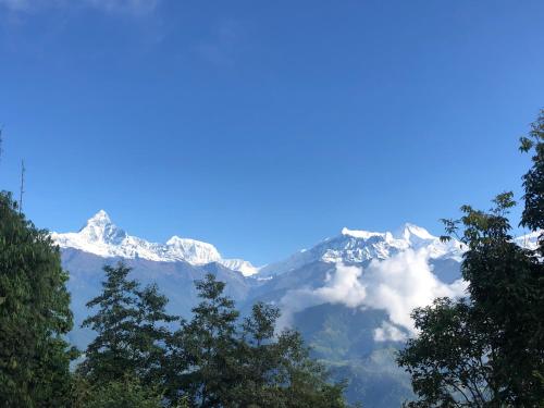 a view of a snow covered mountain through the trees at Hotel Pristine Himalaya in Pokhara