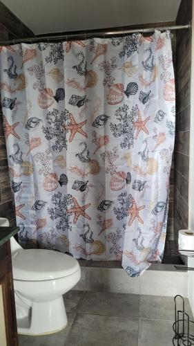 a bathroom with a toilet and a shower curtain at Lindo Apartamento 1102 zona 9 in Guatemala