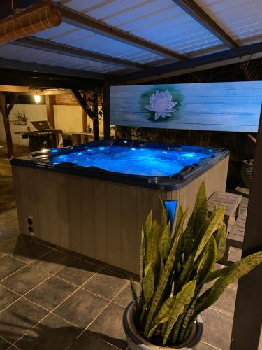 a hot tub in a patio with a plant at La Kaz Paille en Queue, Magnifique Villa F5 récemment rénovée avec piscine et Jacuzzi sur La Possession in La Possession