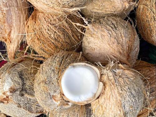 a close up of a bunch of coconuts at homeland bro in Dar es Salaam