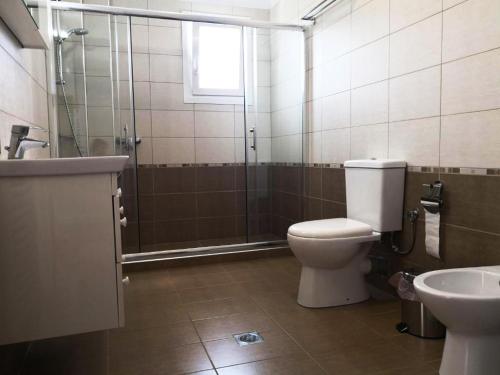 a bathroom with a toilet and a shower and a sink at Bella Vera Apartments 2 in Limenas