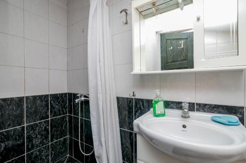 a bathroom with a sink and a mirror and a shower at Apartment Majstorovic Topla in Topla