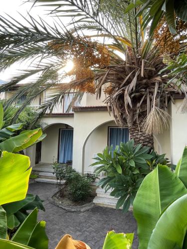 a building with a palm tree in front of it at Club Alda in Lapithos