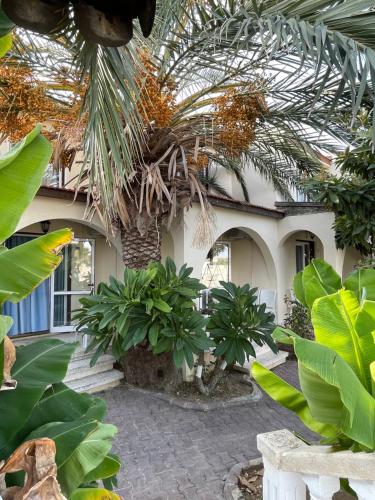 a building with a bunch of plants in front of it at Club Alda in Lapithos