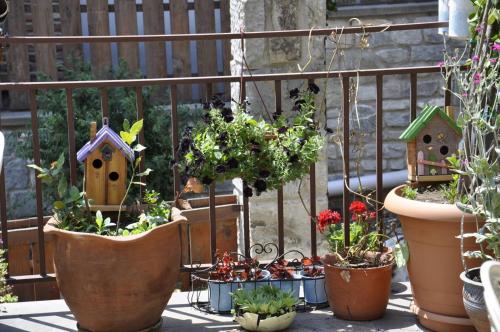 a group of plants in pots on a fence at Tatin - Hotel & Café in Mtskheta in Mtskheta