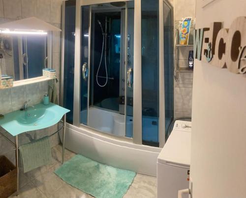La salle de bains est pourvue d'une douche, d'un lavabo et de toilettes. dans l'établissement Csendes zöldövezeti, à Budapest