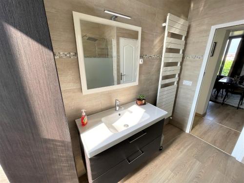 een badkamer met een wastafel en een spiegel bij Le Neufchâtel appartement cosy 3 chambres in Reims