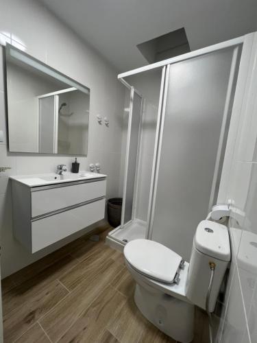 a bathroom with a shower and a toilet and a sink at V Macaronesia in San Bartolomé de Tirajana