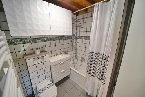 a bathroom with a shower and a sink and a toilet at Horlès 114 in Virton
