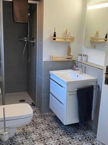 a bathroom with a sink and a toilet and a shower at Ferienhaus Pollerhof in Lindlar