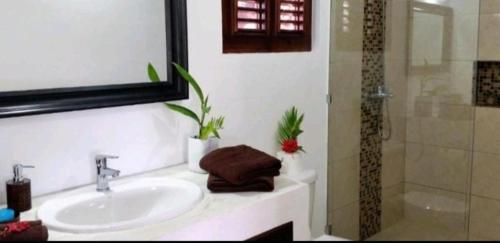 y baño con lavabo, espejo y ducha. en Bungalow de Ballenas, en Punta Balandra