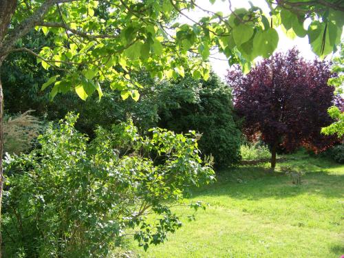 eine Gruppe von Bäumen und Büschen in einem Hof in der Unterkunft Grande maison atypique in Le Burgaud
