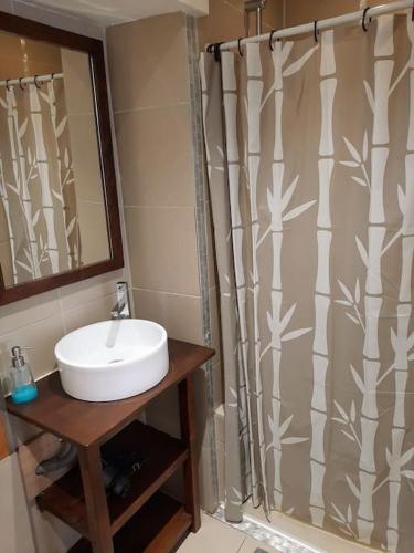 une salle de bain avec un lavabo et un rideau de douche dans l'établissement Nice, Seaside apartment, à Nice