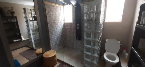 a bathroom with a shower with a toilet and a sink at Appartement de charme à côté de la plage in La Saline les Bains