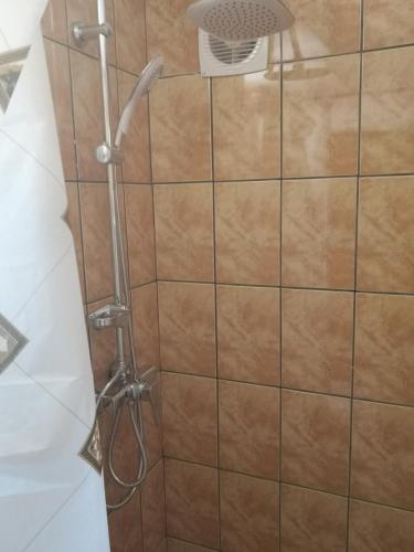 een douche met een douchekop op een betegelde muur bij Gara Dinu in Boekarest