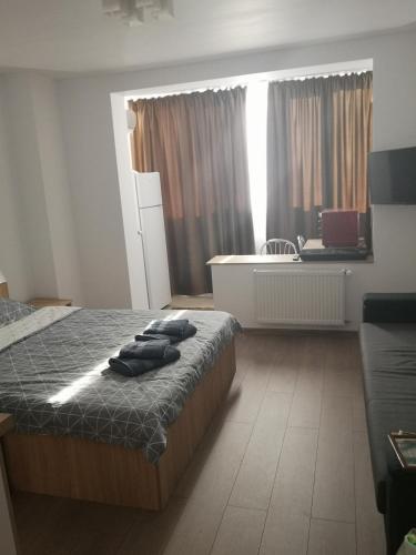 Llit o llits en una habitació de Gara Dinu