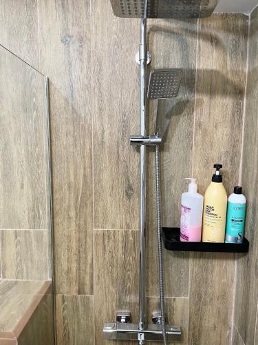 a shower with two bottles of soap on a shelf at Apartment on KShT in Ustʼ-Kamenogorsk