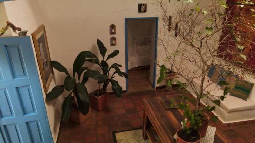 a hallway with potted plants and a blue door at Perla de Fuego Casa de Huespedes in Barichara