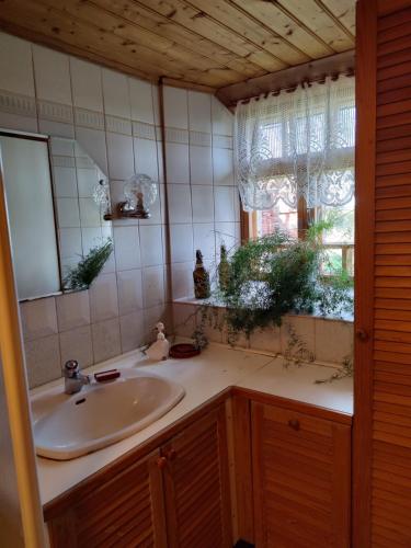 a bathroom with a sink and a mirror and a window at Narvan Maatilamajoitus Helenan Kanat ja Kammarit in Vesilahti