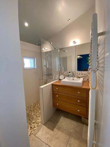 une salle de bain avec un lavabo et un miroir dans l'établissement Maison de ville entre amis ou en famille, à Castelnau-le-Lez