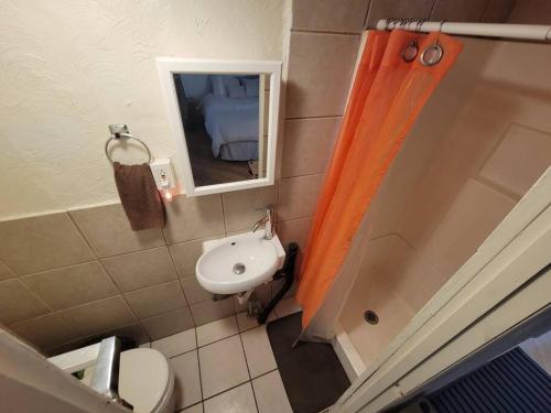 uma casa de banho com um lavatório, um WC e um espelho. em Comfortable Apartment - Pittsburgh's Little Italy em Pittsburgh