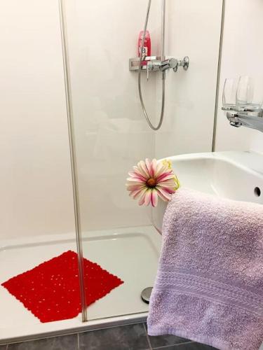 a bathroom with a shower with a flower on the tub at Chesa Margadant in Zuoz