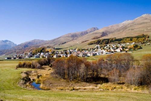 a small town in a field with mountains in the background at Chesa Margadant in Zuoz