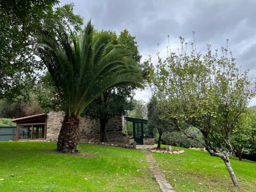 uma palmeira num quintal ao lado de um edifício em Rural Lambre by Miramar Stays em La Coruña