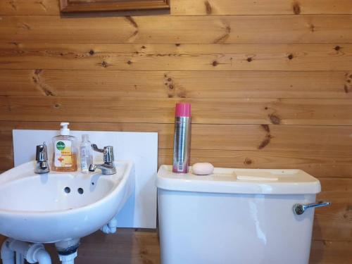 bagno con servizi igienici bianchi e lavandino di Cara Noir a Inverness