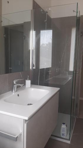 y baño con lavabo y ducha acristalada. en Locazione turistica Corner 20, en Piacenza
