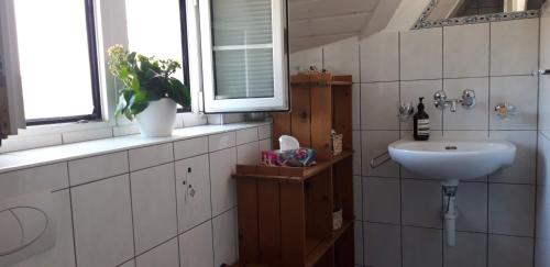 een badkamer met een wastafel en een raam bij Ferienwohnung Stein am Rhein Nahe Bahnhof und Rhein in Stein am Rhein