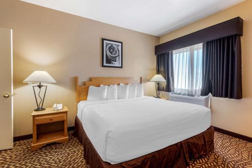 una camera d'albergo con un grande letto e una finestra di Best Western Turquoise Inn & Suites a Cortez